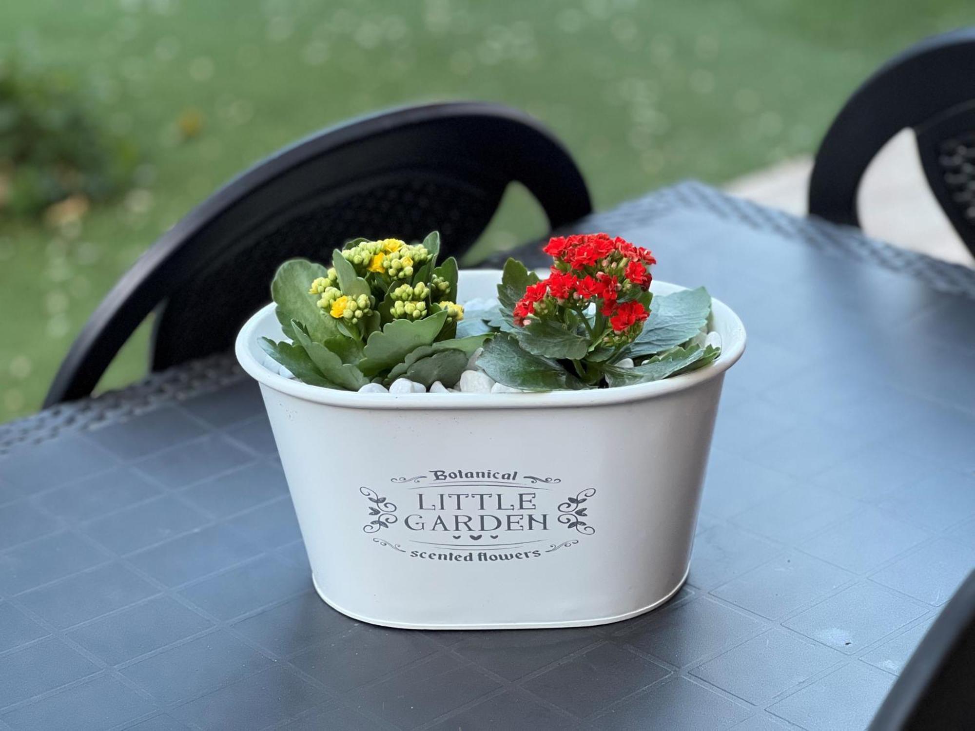 Casa Paestum. Your Wonderful Garden In Rom Exteriör bild